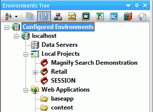 Environments Tree panel with Retail project