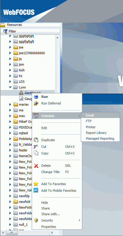 Email schedule option