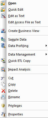 Synonym Right-Click Options