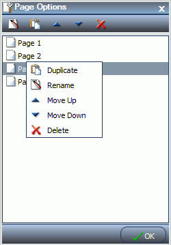 Page options dialog box