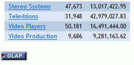 OLAP Report