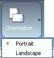 Orientation Button