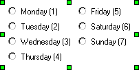 radio button control example