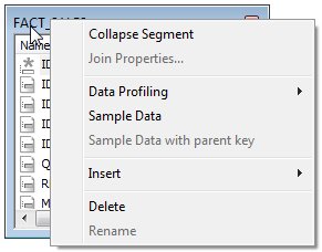 Modeling View Options