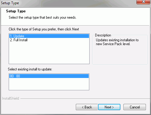 Setup Type dialog box