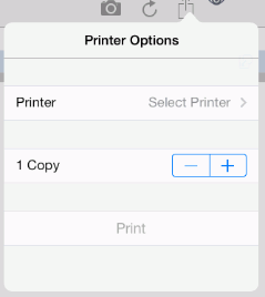 Printer options