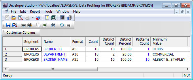 Data Profiling report