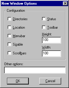 New Window Otions dialog box