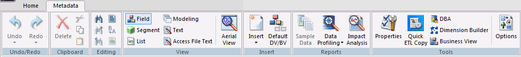 Metadata tab