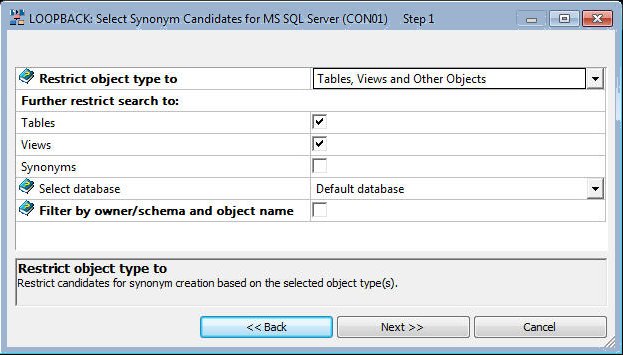 Select Synonym Candidates Dialog Box
