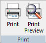 Report Print Group