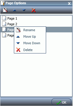Page options dialog box