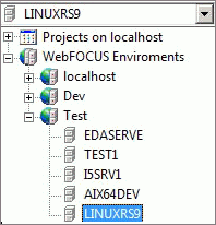 WebFOCUS environment drop down list box